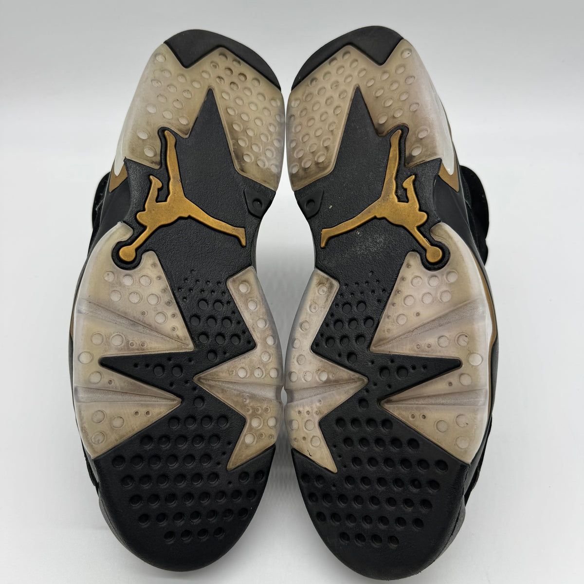 Jordan 6 DMP (2020)