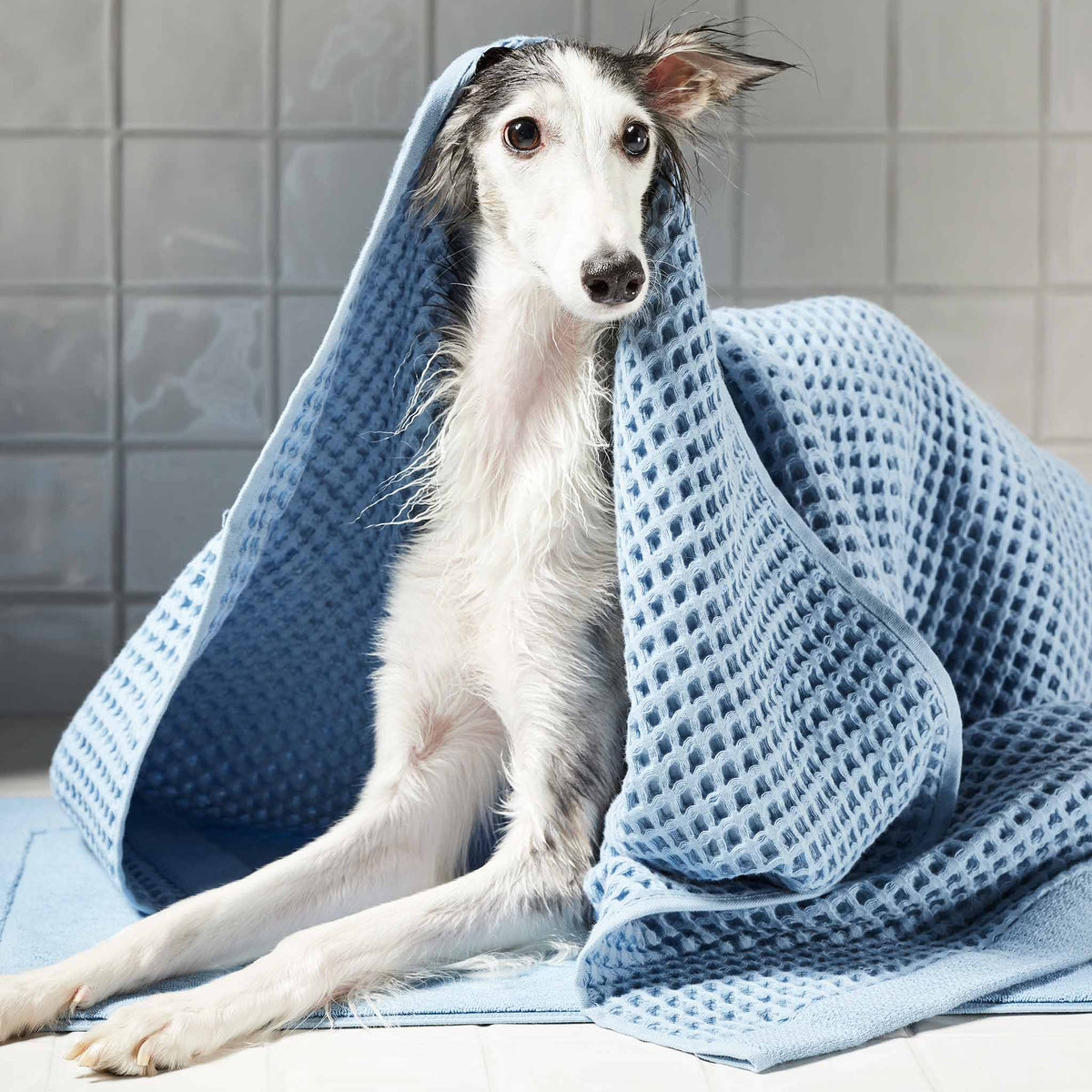 Dreamweave Waffle Bath Towels Set of 2 - Last Call
