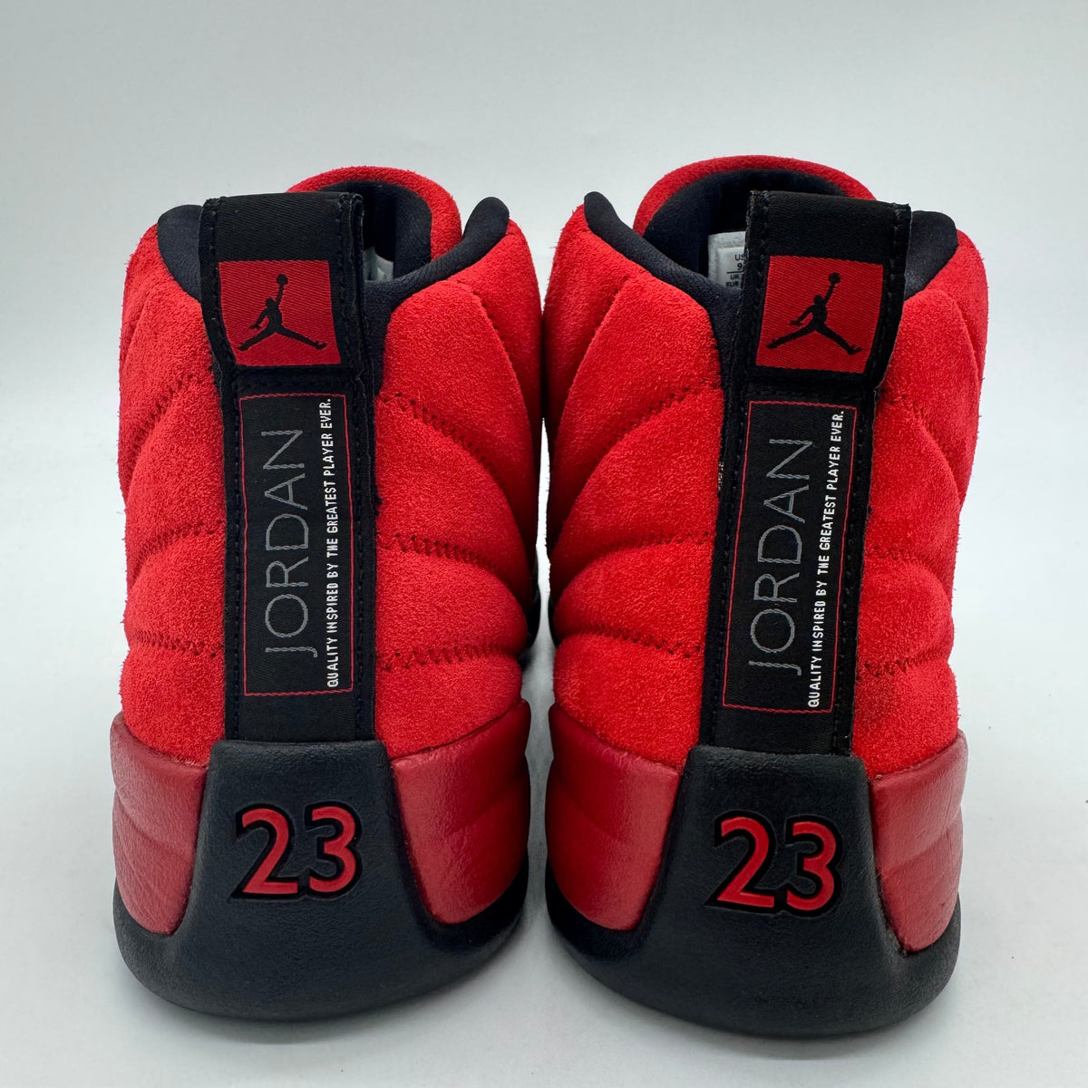 Jordan 12 Reverse Flu Game