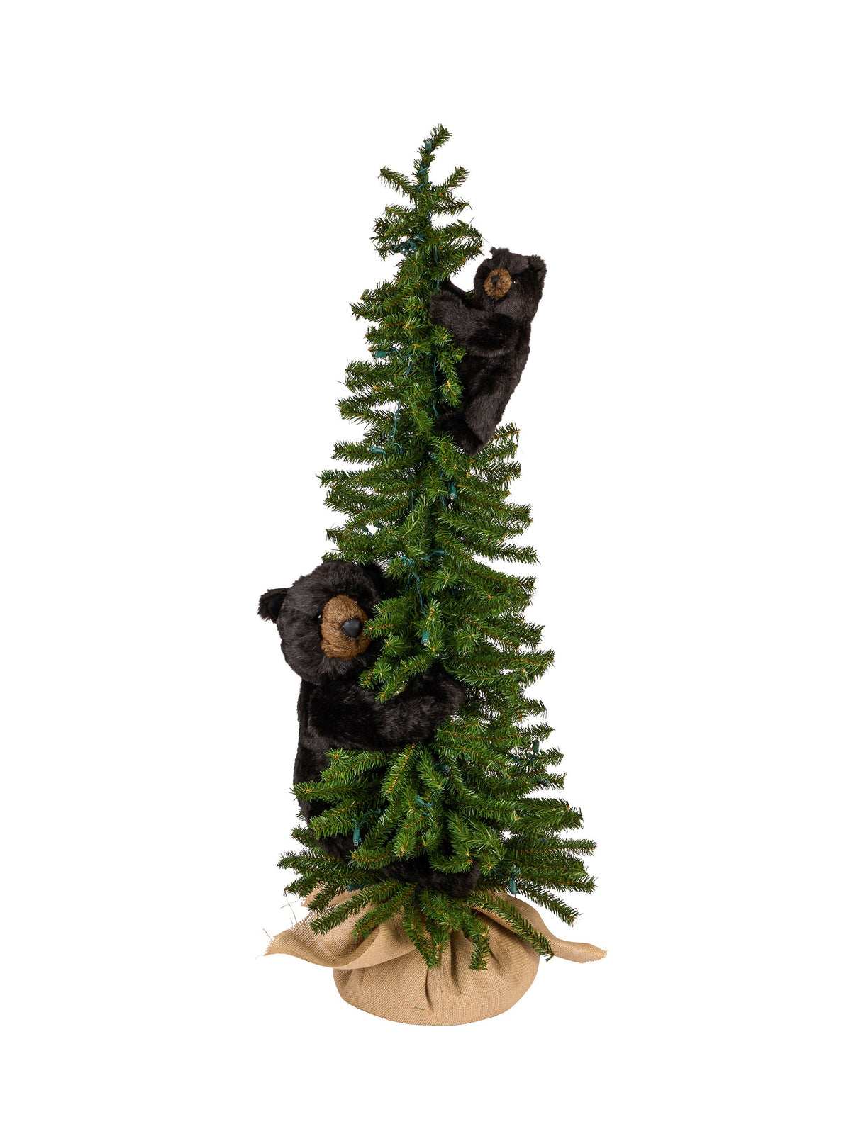 Climbing Black Bear Tree