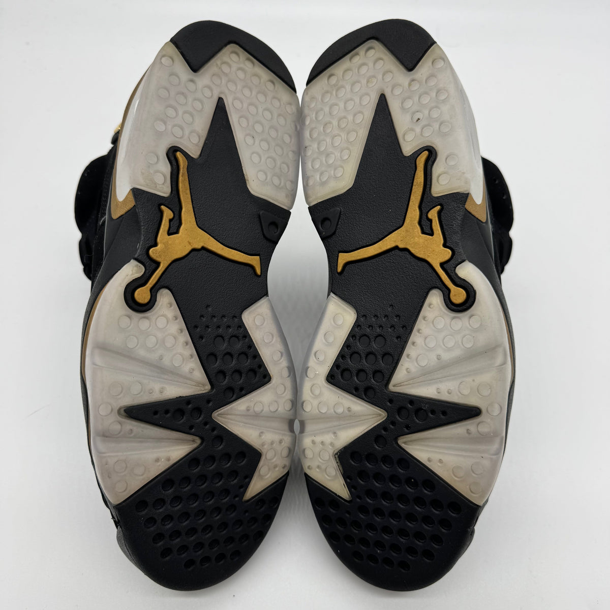Jordan 6 DMP (2020)