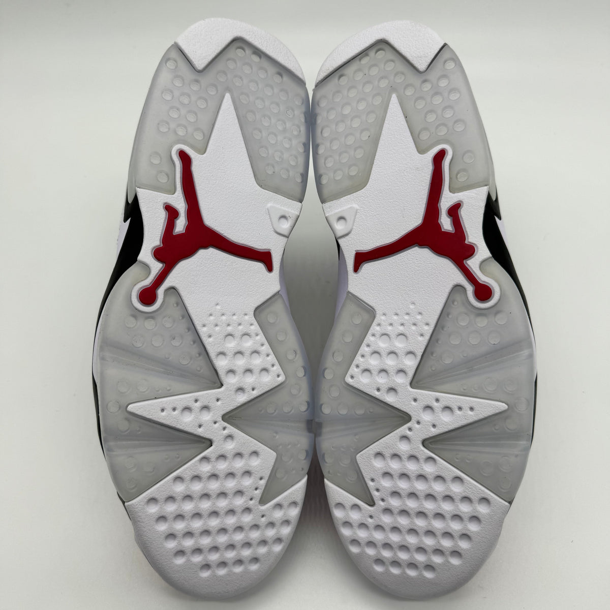 Jordan 6 Carmine (2021)